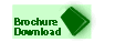 Download 100 Brochure